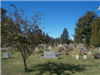 Maple Hill Cemetery Gravestones