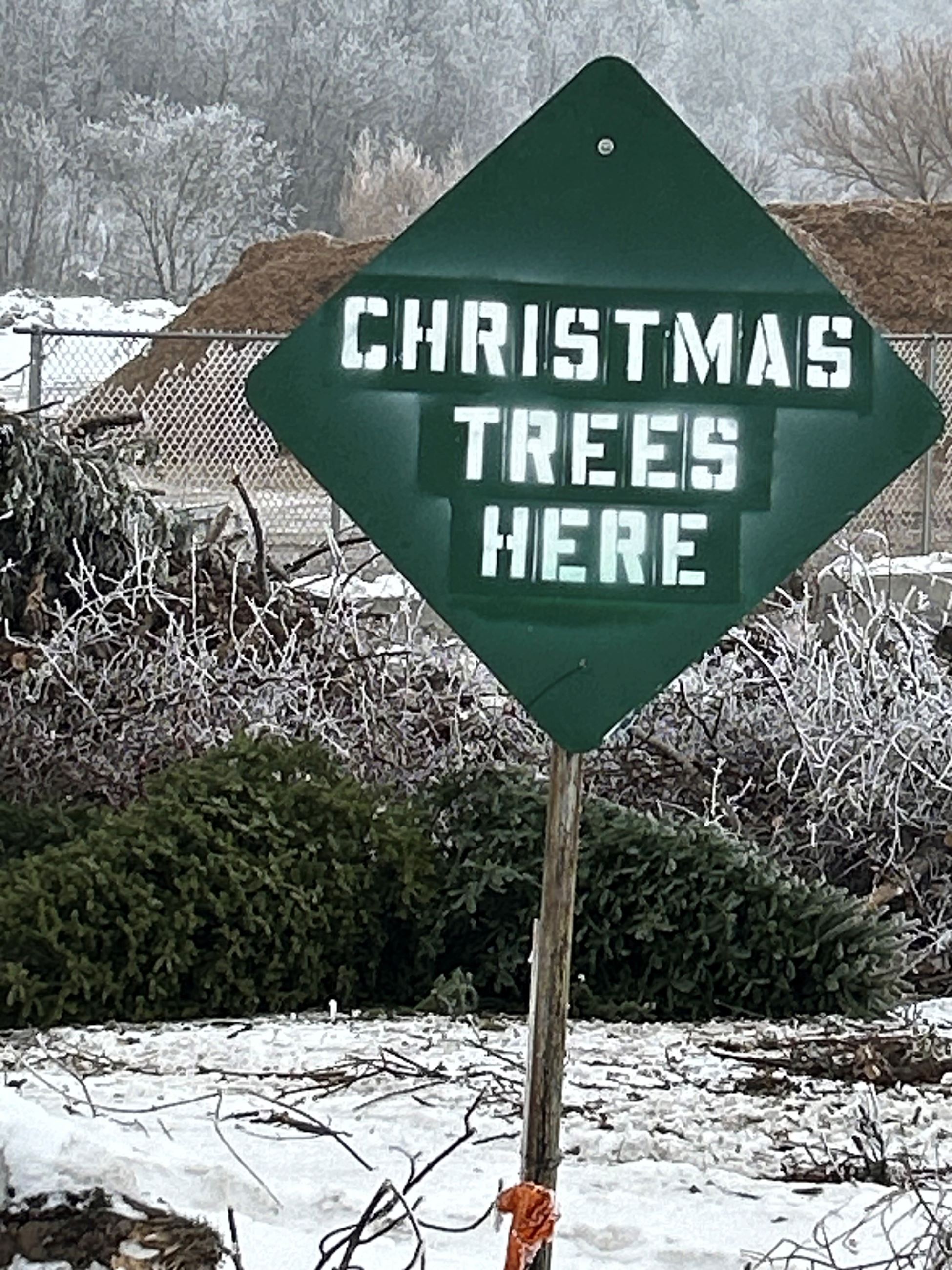 TreeCycling Sign