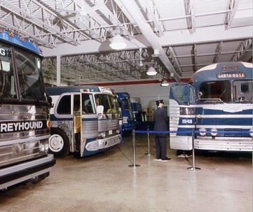 Buses in the  museum