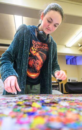 Puzzler image by Sauer 2.19.25